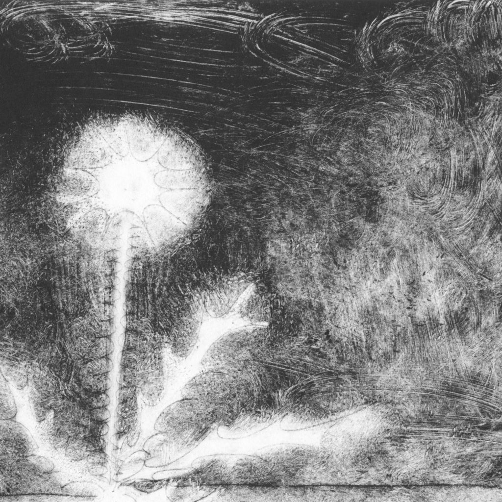 Illustration: Karoline Hummel. Eine Pusteblume auf grauem Hintergrund.