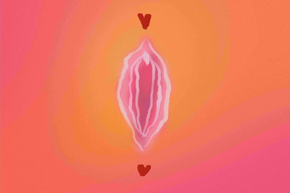Vulva-Illustration und zwei Herzen